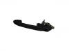 Door Handle:46445209