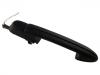 Door Handle:713686099